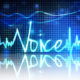 voice analysis